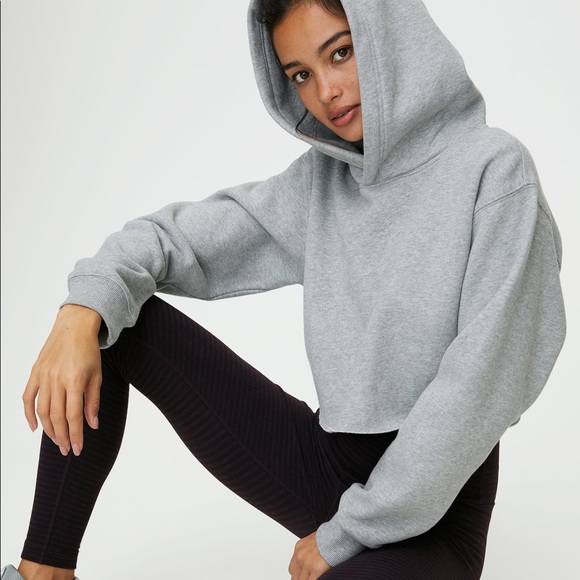 Aritzia Tops - Aritzia TNA The Perfect Crop Hoodie Grey Size S